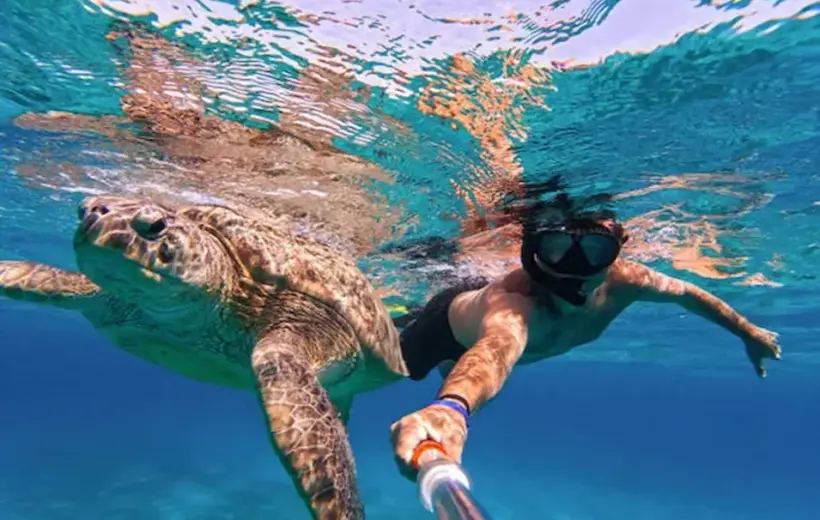 Sharm El Naga Snorkelen Exklusiver Strandtag & Schnorchelausflug
