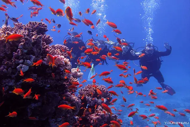 Sharm El Naga Snorkelen (8)