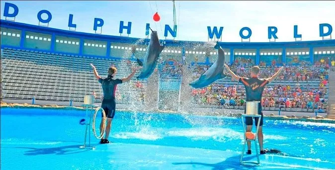 Delfinarium Hurghada preis