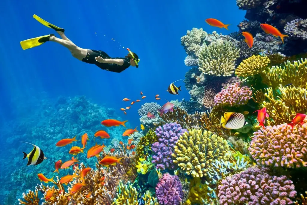 Schnorcheln Hurghada Preise – Was kostet welche Tour