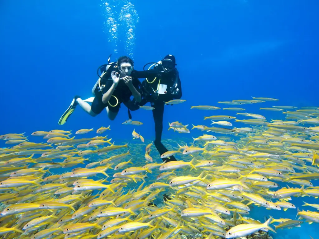 Warum das Rote Meer vor Hurghada Schnorchler weltweit anzieht