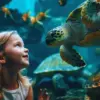 aquarium hurghada eintrittspreise