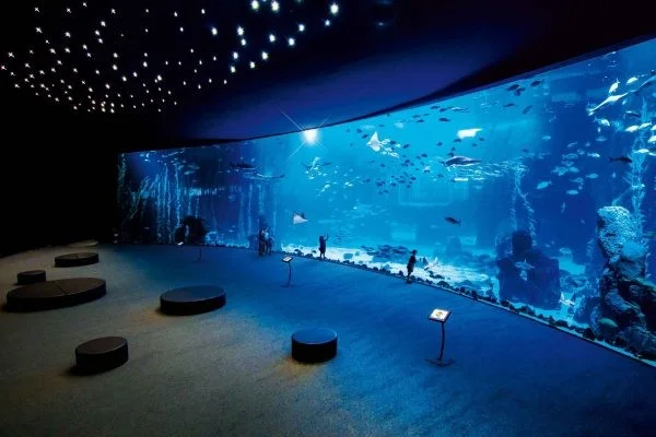 aquarium hurghada preise