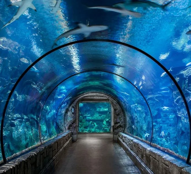 hurghada aquarium preis