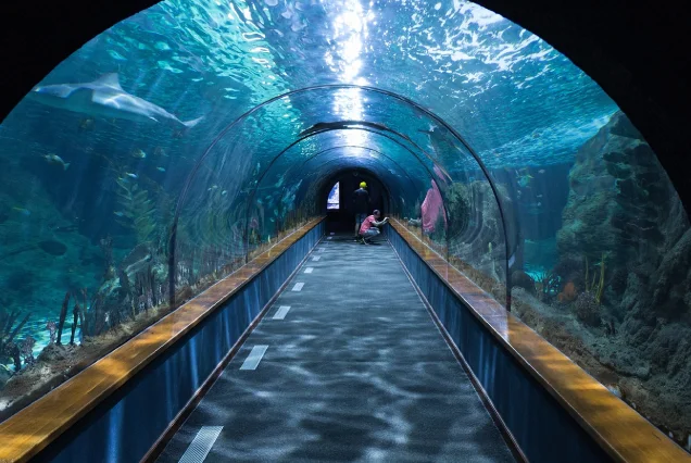hurghada grand aquarium eintrittspreise