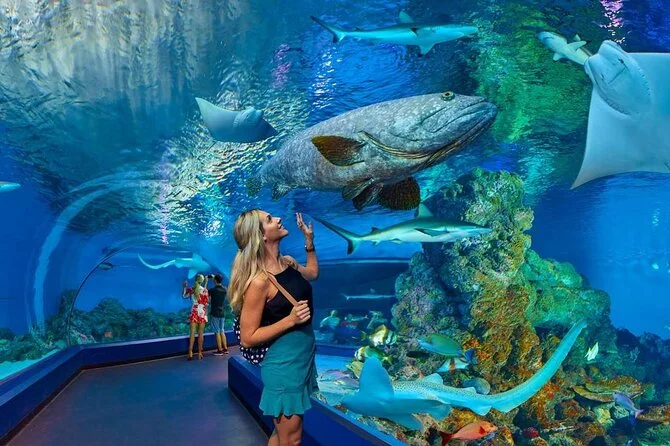 hurghada grand aquarium preise