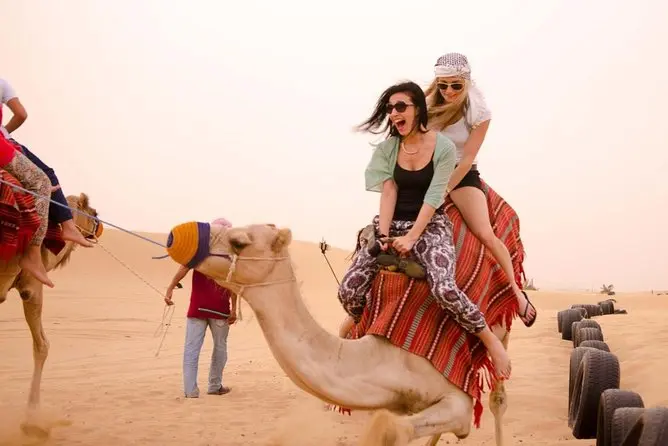 Fazit Hurghada Kamelreiten Preise