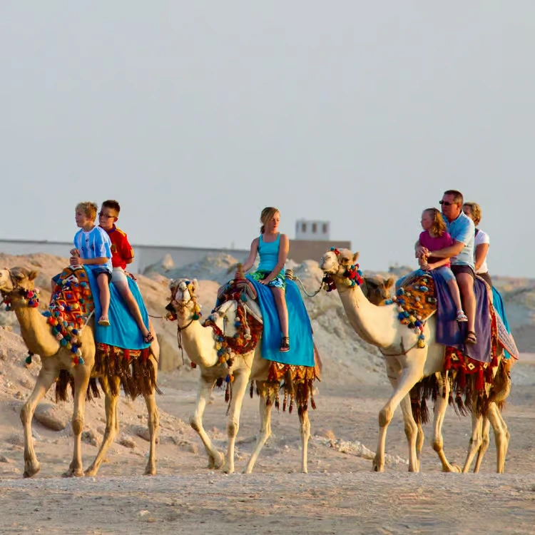 Hurghada Kamelreiten Preis