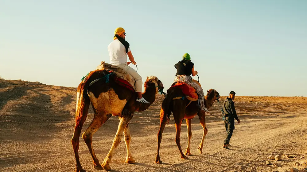 Kamelreiten in Hurghada buchen – So sparst du Geld