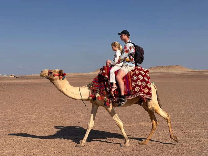 Welche Faktoren beeinflussen die Hurghada Kamelreiten Preise